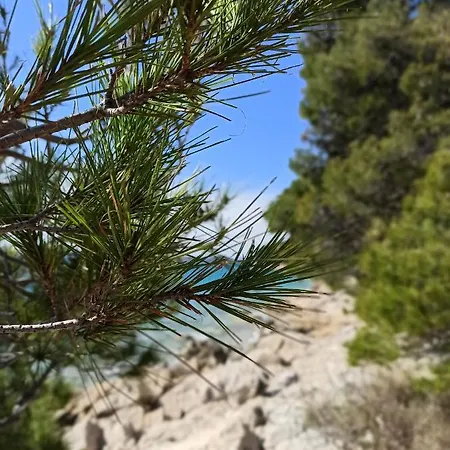 Near The Drage