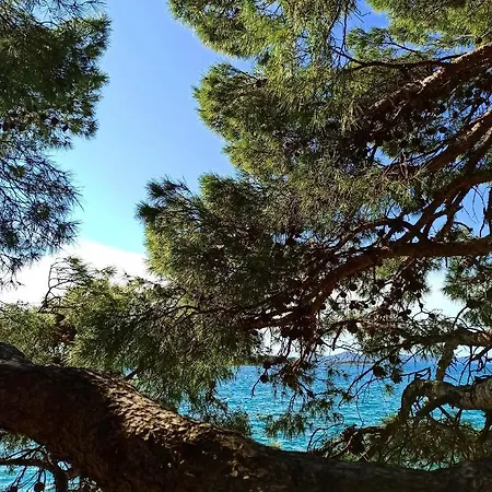 Near The